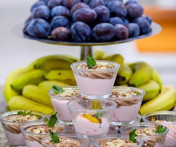 Garden Nevis 3* Slăntjev Brjag